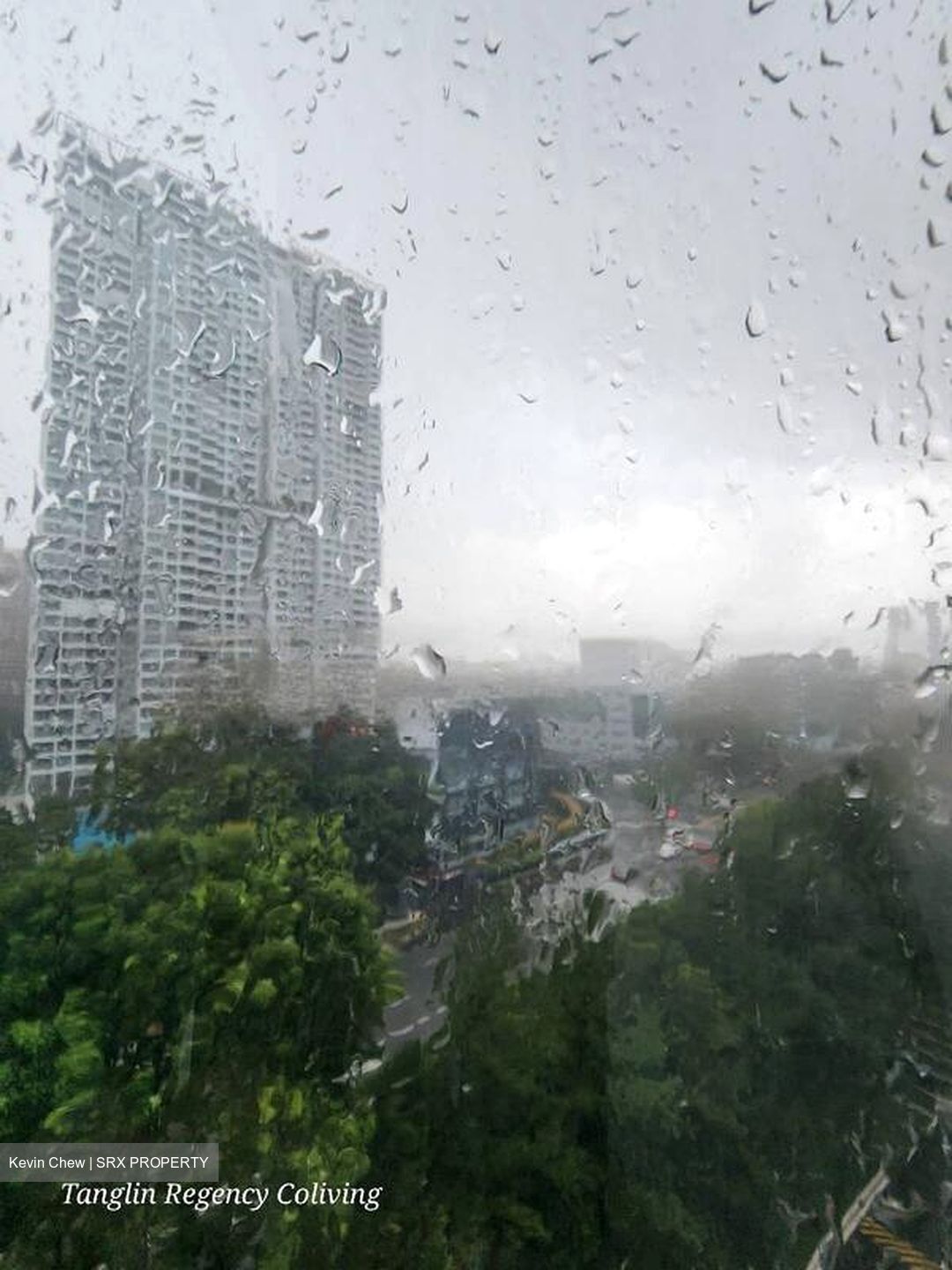 Tanglin Regency (D10), Condominium #465986871